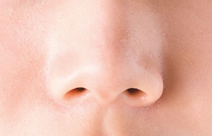 콧구멍이 짝짝이로 숨을 쉰다 콧구멍은 왜 두개일까 코구조 Nasal Cycle를 알아보자