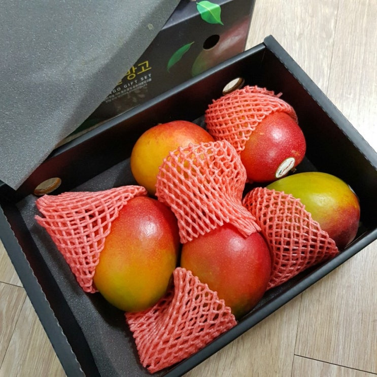  카카오 선물하기 " 페루산 애플망고 " 솔직후기 