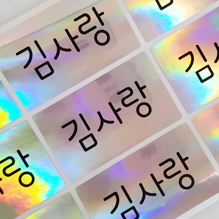  네임코코 특대형 방수 네임스티커 450특대형홀로 그림없음