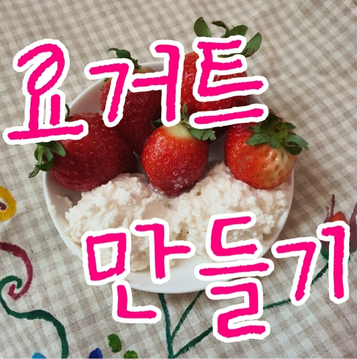  수제 요거트 만들기 / 망한 요거트 되살리기 : 요거트메이커, 치즈메이커로 그릭요거트 만들기
