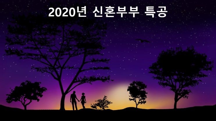 2020년 신혼부부 특별공급, 가점 관련 정리