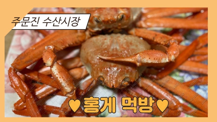 홍게의계절이지만 코로나19로 인해 어려운 주문진수산시장. 사랑받는 며느리의 홍게 자랑. 홍게의계절이지만 코로나19로 인해 어려운 주문진수산시장. 사랑받는 며느리의 홍게 자랑.