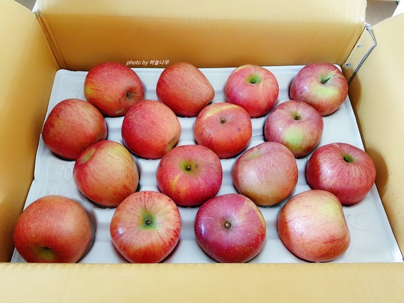 [시골청년 햇 부사사과 리뷰] 네이버 스마트 스토어, 시골청년이야기, 흠집사과 10kg, 중대과, ....