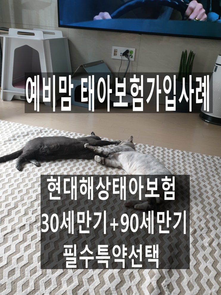  현대해상 태아보험30세만기90세만기혼합설계 /굿앤굿어린이태아보험 만기선택/초보맘 태아보험가입사례