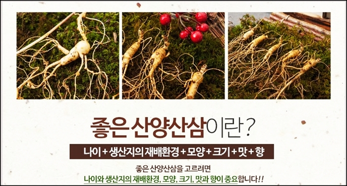  강원도 청정 산양산삼 산삼라이프 건강 지키기