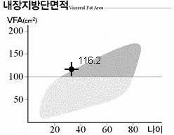 내장지방단면적이 도대체 뭐지? : 네이버 블로그 내장지방단면적이 도대체 뭐지? : 네이버 블로그