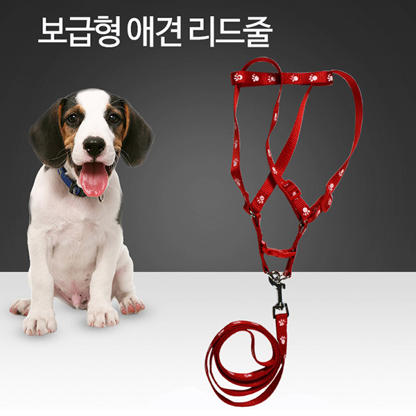   마루몰 우리집 귀요미랑 산책갈땐 보급형 애견 리드줄색상랜덤11 색상랜덤