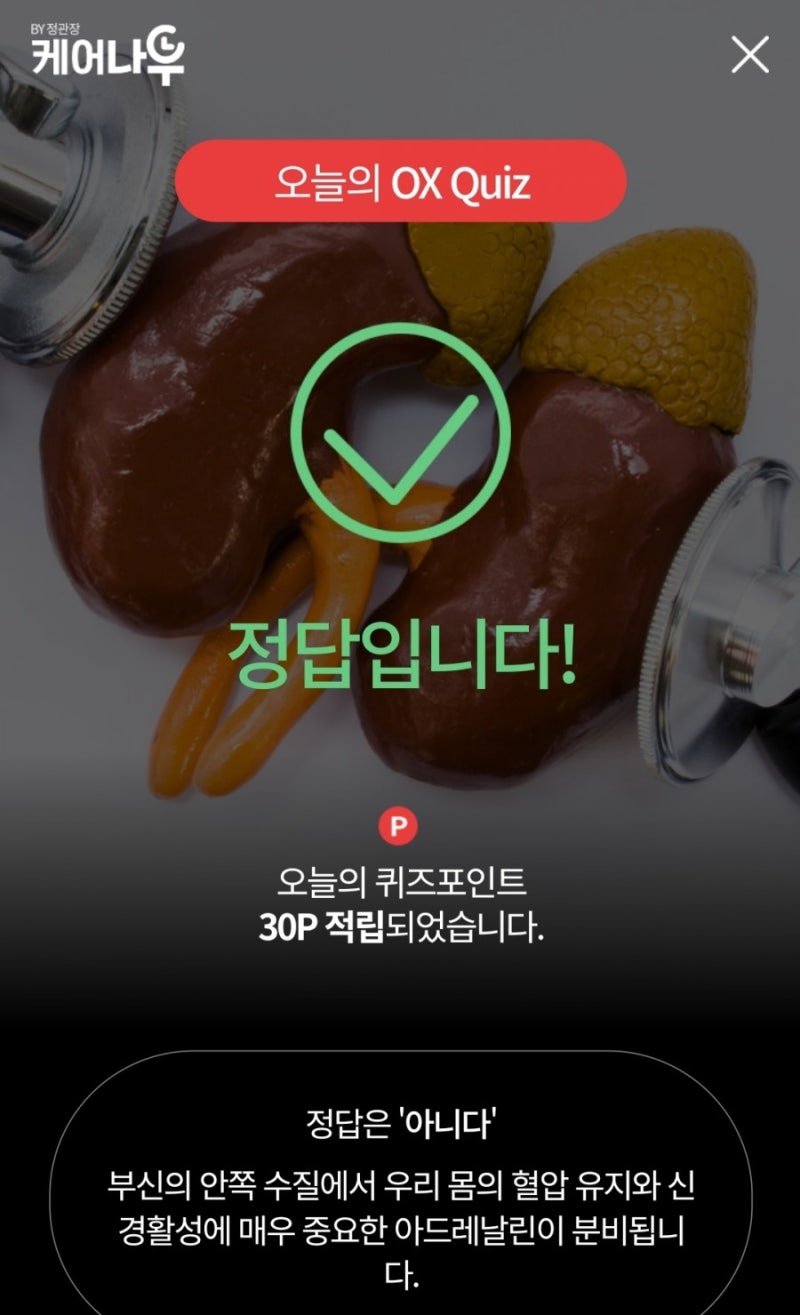 200312 목요 리브메이트/케어나우/신한페이판/올원뱅크 정답 : 네이버 블로그