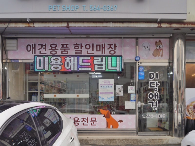 사진 2