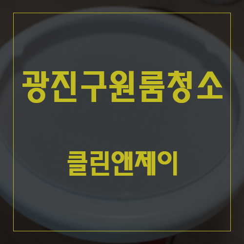  광진구원룸청소 두렵다면 전문가에게