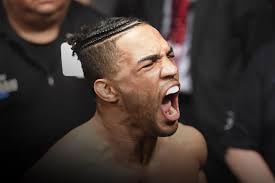 UFC 브라질리아 무관중 대회로 진행 등 MMA 뉴스 UFC 브라질리아 무관중 대회로 진행 등 MMA 뉴스