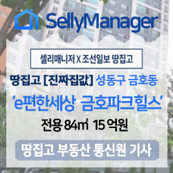  땅집고 [진짜 집값] 서울 성동구 금호동 ‘e편한세상금호파크힐스’ 84 15억원