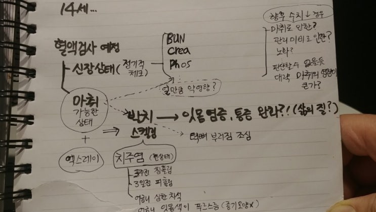  지니 입안에 피흘림으로 병원방문(치주염)