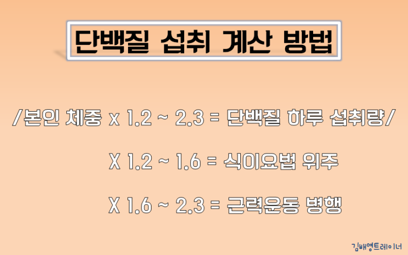 단백질의 하루 섭취량 계산 방법
