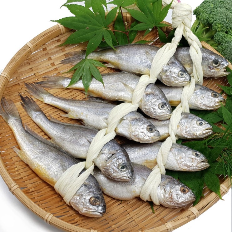 영광굴비 산지직송_영광굴비 10미 (미당 80g) 로얄사이즈, 1개, 영광굴미 10미 추천해요 영광굴비 산지직송_영광굴비 10미 (미당 80g) 로얄사이즈, 1개, 영광굴미 10미 추천해요