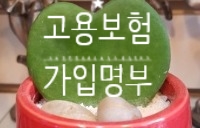 고용보험가입자명단(사업장용) 사업장자격취득자명부 고용보험가입자목록