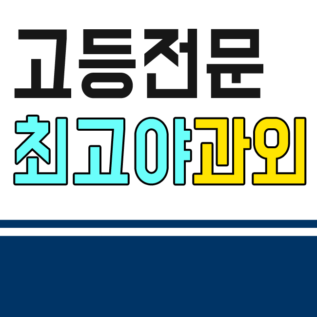  대전 수학과외 영어과외 고등 수능전문 화상수업도 문제없습니다