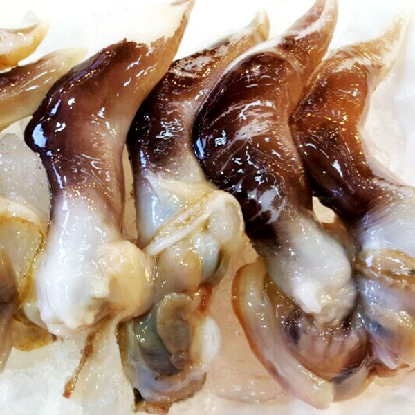 미스터팜팜 손질 새조개 내장제거 실중량 500g(상품) 생산자직송, 1개, 내장제거실중량500g(상품) 추천해요 미스터팜팜 손질 새조개 내장제거 실중량 500g(상품) 생산자직송, 1개, 내장제거실중량500g(상품) 추천해요
