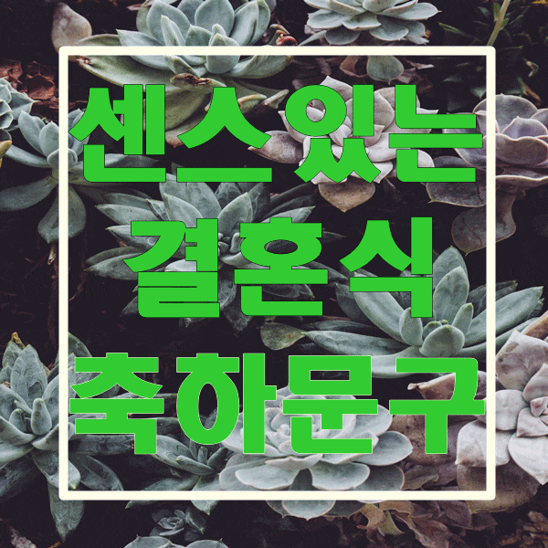  센스 있는 결혼식 축하 문구 모음