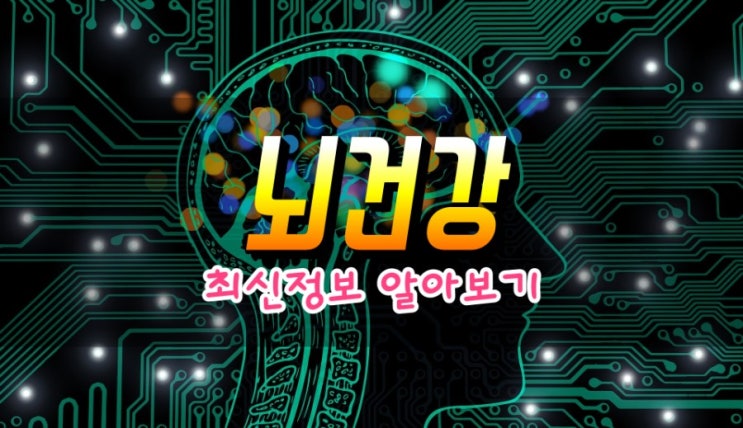  뇌손상을 막는 방법 뇌를 건강하게 만드는 방법 알아보기