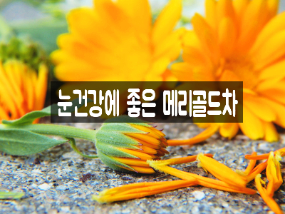  시력보호에 좋은 메리골드 차