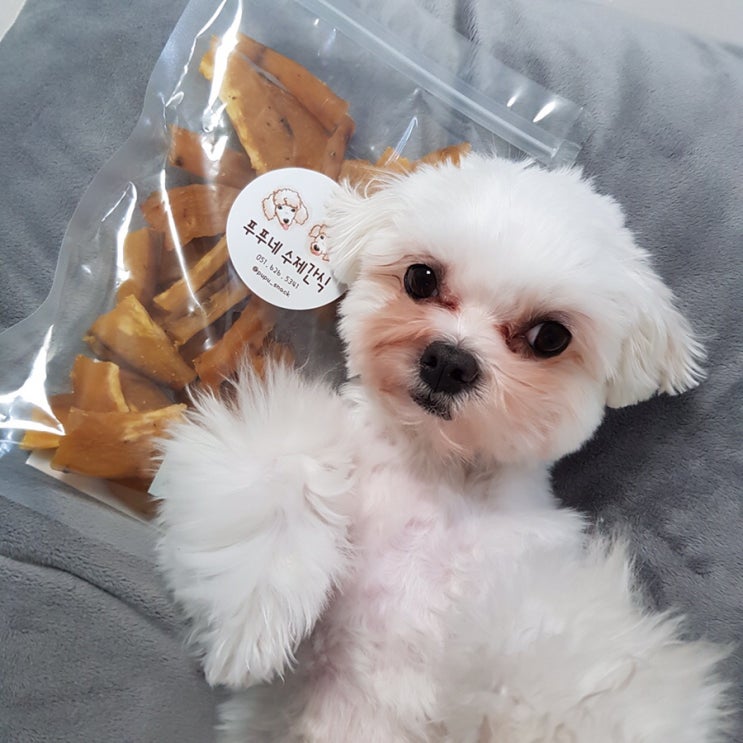  강아지 대용량 수제간식 :: 고구마말랭이 너무 잘먹어요 :)