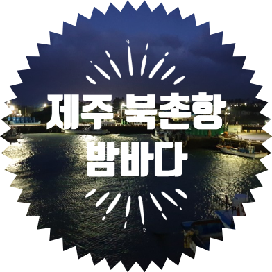  제주 북촌항 밤바다 제주 201번 버스 시간표