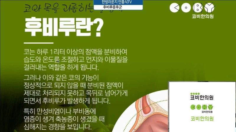 후비루 원인과 증상 및 치료 _ 후비루 예방법 및 수면환경 개선법 4