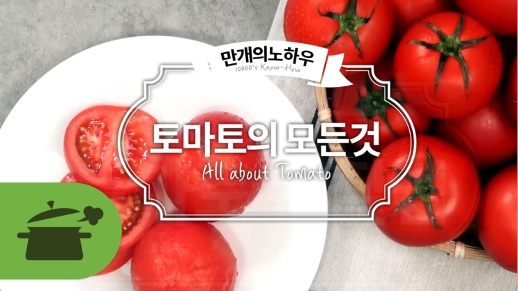  잘 익은 토마토!더 맛있게 먹으려면? 토마토의 모든 것 [만개의레시피]