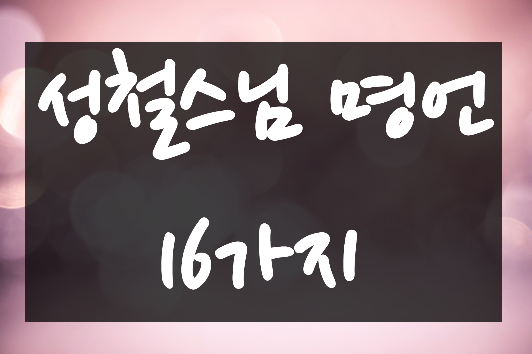  성철스님 명언 16가지