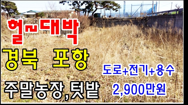 포항주말농장 포항텃밭 토지매매 2천만원대 차량진입 전기인입 용수인입-보경사인근