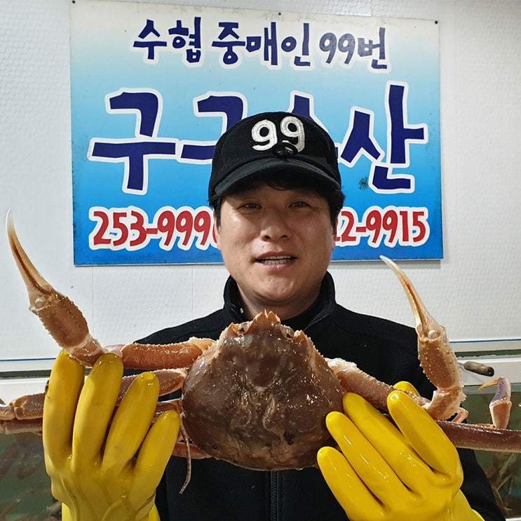 구구수산 포항수협지정중매인 영덕대게 5마리 모음전, 1box, 05_B형생물(대)대게4마리 추천해요 구구수산 포항수협지정중매인 영덕대게 5마리 모음전, 1box, 05_B형생물(대)대게4마리 추천해요