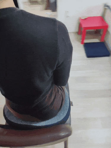 밸런스닥터 자세교정방석 사용후기 :: 사무실방석 추천