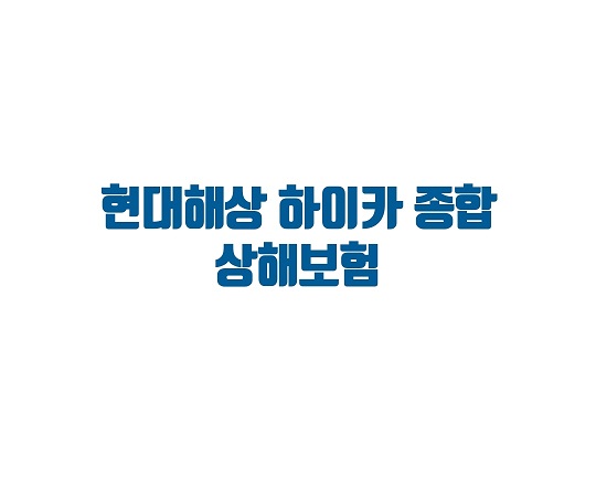  목포보험 / 목포보험전문가 / 무안 / 남악 / 현대해상 하이카 종합 상해보험