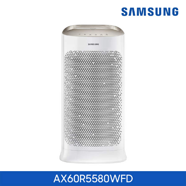[현대백화점]삼성 블루스카이 공기청정기 AX60R5580WFD (청정면적 60), 단일속성 추천해요