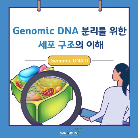 [Genomic DNA - II]Genomic DNA 분리를 위한 세포 구조의 이해