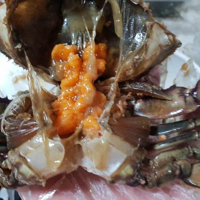 간장게장 알배기 암꽃게 2.5kg (양념게장), 1개 추천해요 간장게장 알배기 암꽃게 2.5kg (양념게장), 1개 추천해요