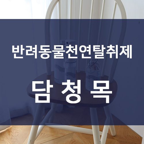  반려동물천연탈취제 우리 길동이의 취향저격