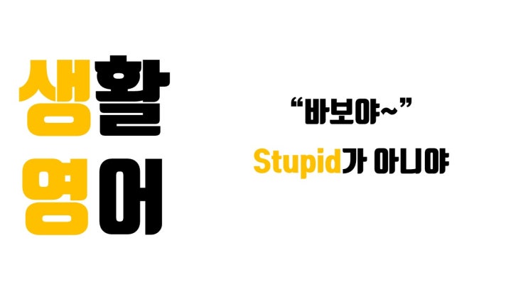  '바보야'하고 가볍게 놀릴 때 쓰는 stupid
