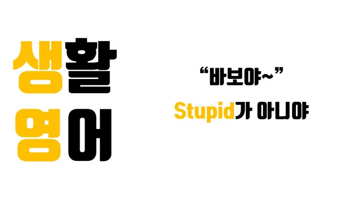 '바보야'하고 가볍게 놀릴 때 쓰는 stupid