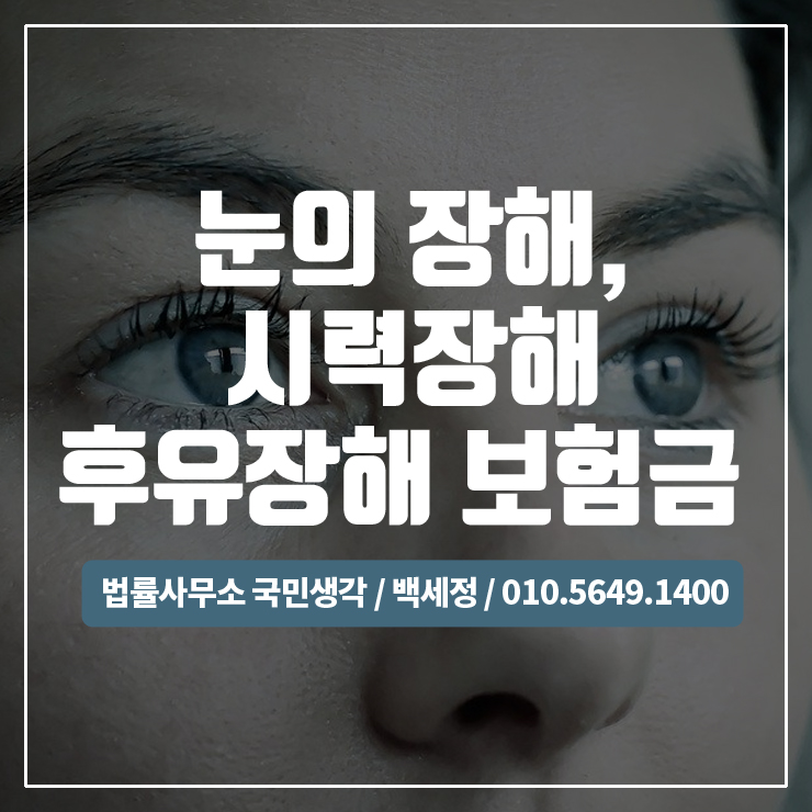  눈후유장해,시력후유장해 보험금 보상 / 종합법률사무소 국민생각:백세정