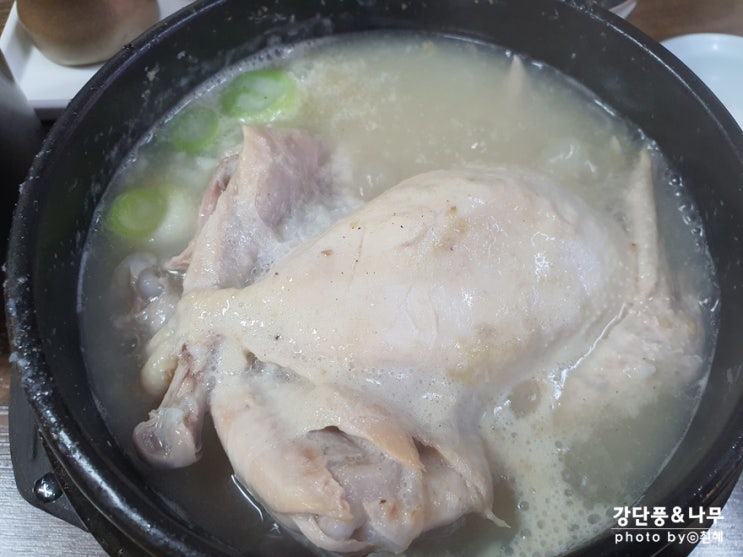  태릉입구역 공릉동 장미삼계탕 40년 전통