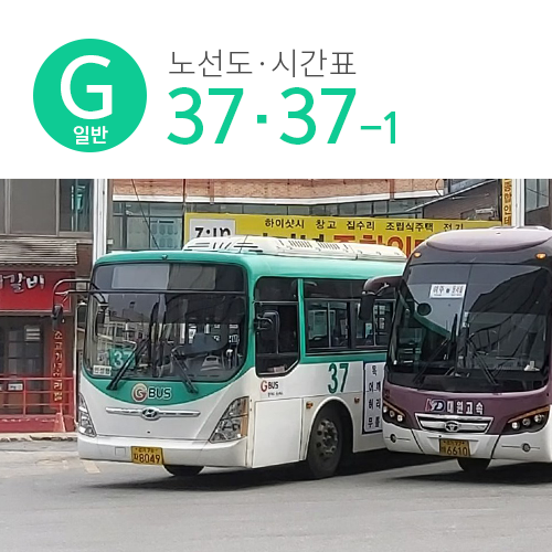 [버스][노선도] 안성 37,37-1 경기도에서 가장 긴 일반시내버스 한짤요약