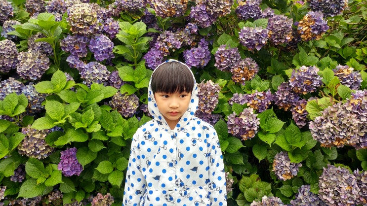  제주 동부여행-초등학생 아들과 함께 가볼만한 코스