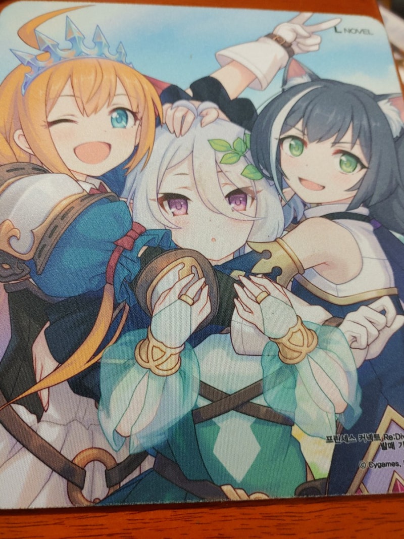 프리코네 캬혐보고서 - 캬혐은 무엇인가. (스포주의) : 네이버 블로그