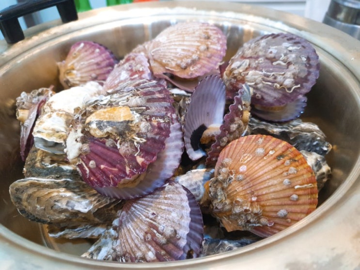  목포 옥암동 맛집 일번가회포차에서 생굴. 굴전.굴보쌈 먹었어요