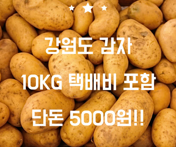  강원도 감자 10KG가 5000원?! 선착순 구매 성공 특급 노하우!!
