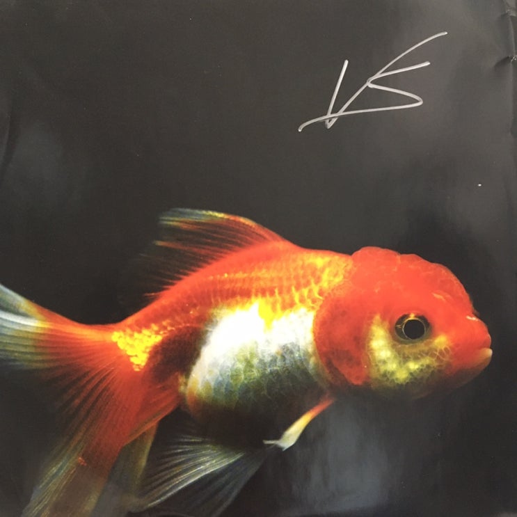 [LP, 엘피] Vince Staples(빈스 스테이플스) – Big Fish Theory (픽쳐 디스크, 싸인반)