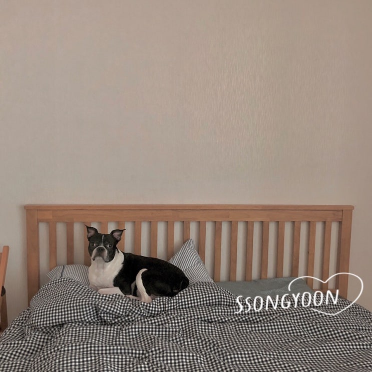  쏭윤가족의 하루이야기