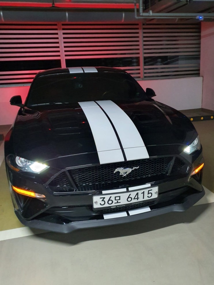  2018 머스탱 GT에 데칼 튜닝 후기